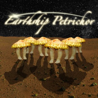 Earthship Petrichor