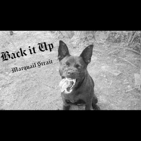 Back It Up | Boomplay Music