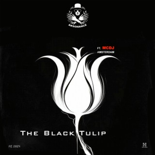 The Black Tulip