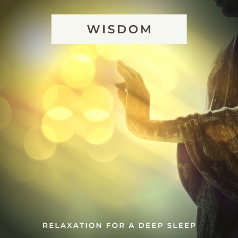 Wisdom Meditation | Boomplay Music