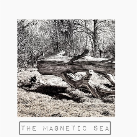 I Am The Ship Of Theseus | Boomplay Music