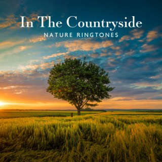 In The Countryside - Nature Ringtones: Calming Sounds of Rain, Chirping Birds and Wind for Mind Tension Reduction, Anxiety Relief, Insomnia Help, Spirituality & Tranquility, Better Mood