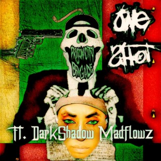 One Shot (DarkShadow Remix) ft. DarkShadow MadFlowz lyrics | Boomplay Music