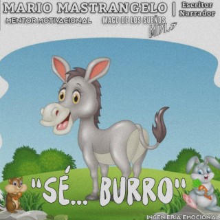 La culpa es de juanito no de ser burro