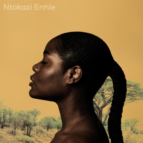 Ntokazi Enhle (with Kgaoza Four40) | Boomplay Music
