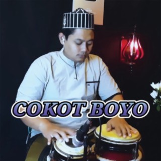 Cokot Boyo