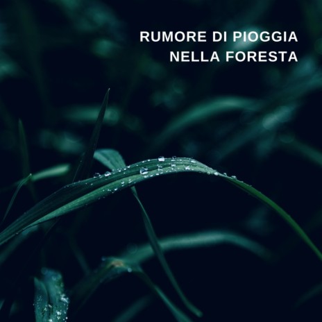 Rumore di Pioggia nella Foresta, Pt. 21 | Boomplay Music