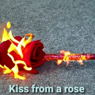 Kiss from a rose