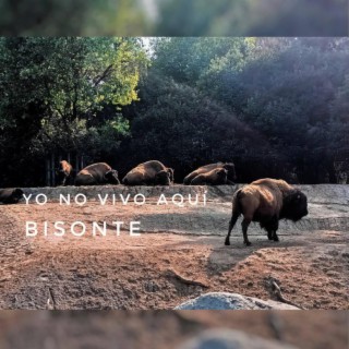 Bisonte (feat. Bryan Macotela)