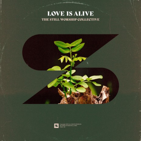 Love Is Alive | Boomplay Music