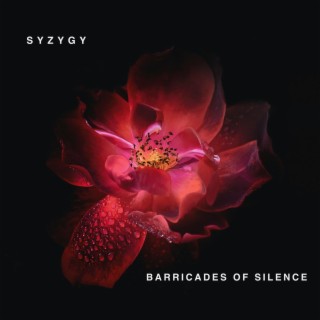 Barricades Of Silence