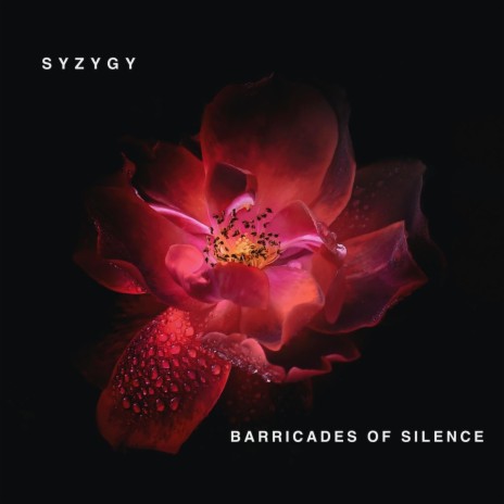 Barricades Of Silence | Boomplay Music