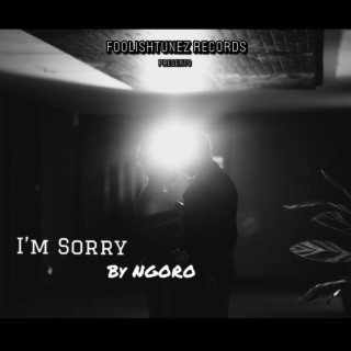 Im Sorry by Ngroro