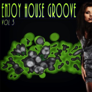 Enjoy House Groove, Vol. 3 - a of the Finest House Musi