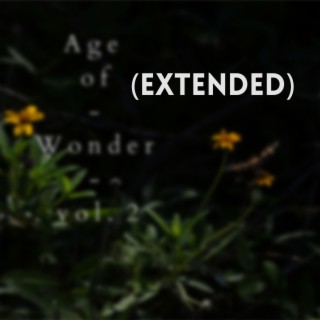 Age Of Wonder, Vol. 2 (Extended Version)