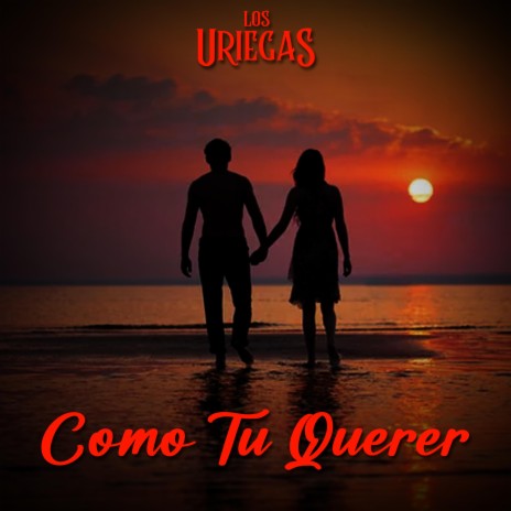 Como Tu Querer | Boomplay Music