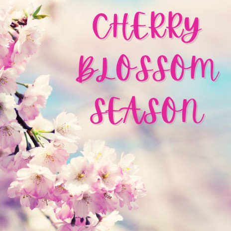 Cherry Blossom | Boomplay Music