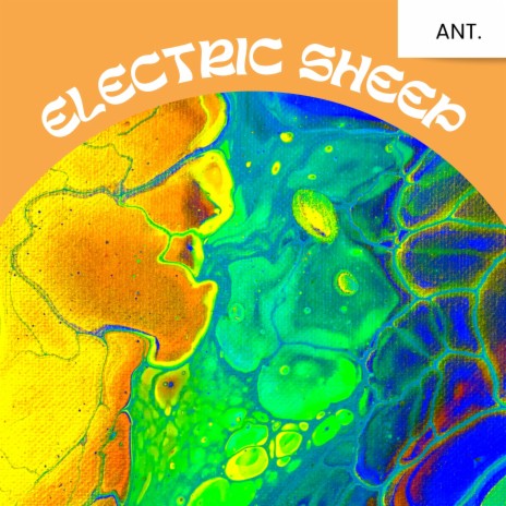 Electric Sheep (Demo, guitar only)