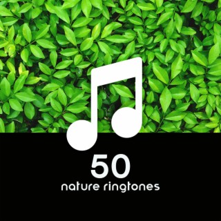 50 Nature Ringtones: Soothing Alarm Tone & Ocean Waves, Rain, Singing Birds, River