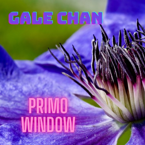 Primo Window