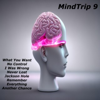 MindTrip 9