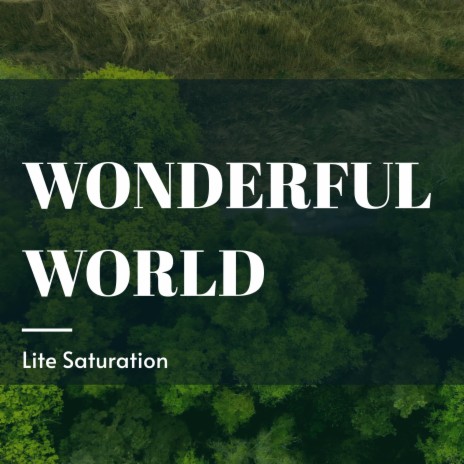 Wonderful World