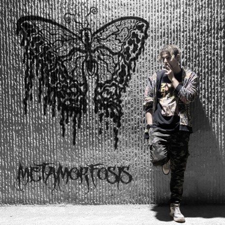 Metamorfosis | Boomplay Music