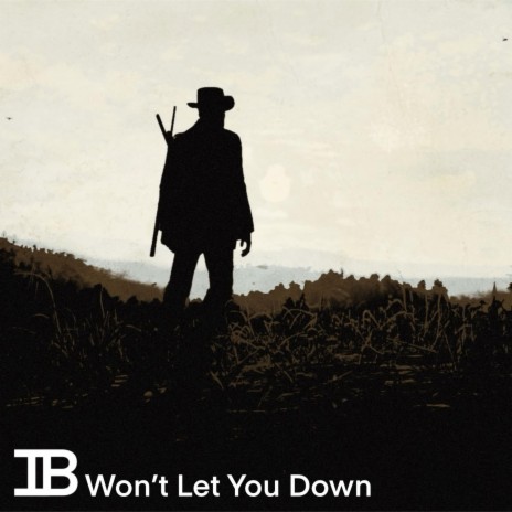 Won't Let You Down | Boomplay Music