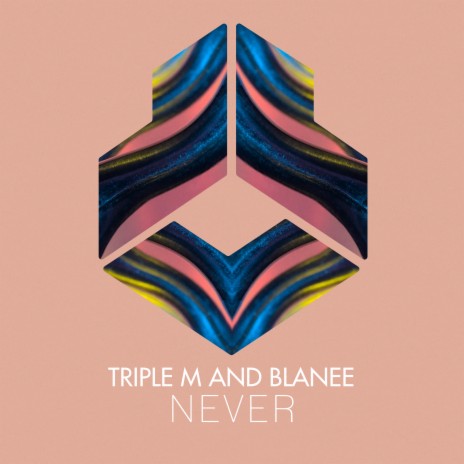Never (Radio Edit) ft. Blanee | Boomplay Music