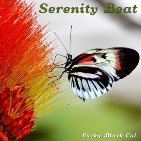 Serenity Beat | Boomplay Music