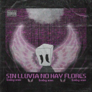 Sin Lluvia No hay Flores (Mixtape)