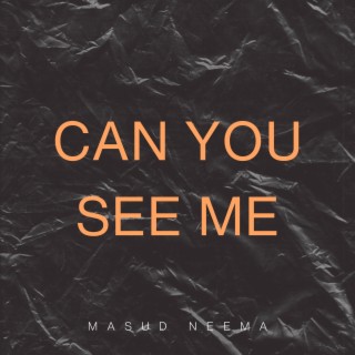 Can You See Me