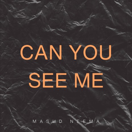 Can You See Me | Boomplay Music