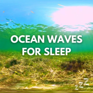Endless Loop of Relaxing Ocean Waves For Sleep (No Fade, No Music, Just Waves)