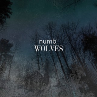 Wolves (As Cities Burn/My Own Passenger)