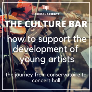 How to support the development of young artists: journey from conservatoire to concert hall