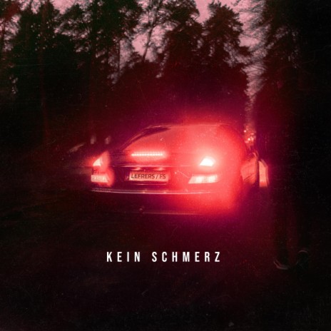 Kein Schmerz (feat. FS) | Boomplay Music