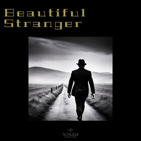 Beautiful Stranger | Boomplay Music