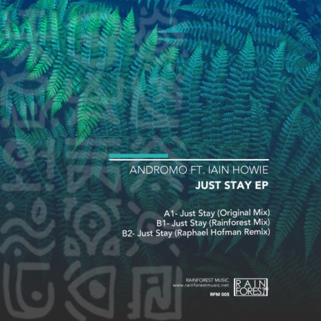 Just Stay (Radio Edit) ft. Iain Howie | Boomplay Music