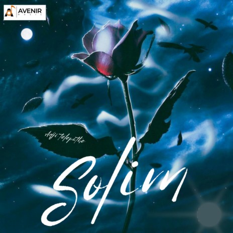 Solim (Amour) | Boomplay Music