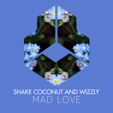 Mad Love (Original Mix) ft. Wizzly | Boomplay Music