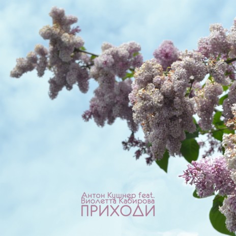 Приходи ft. Виолетта Кабирова | Boomplay Music