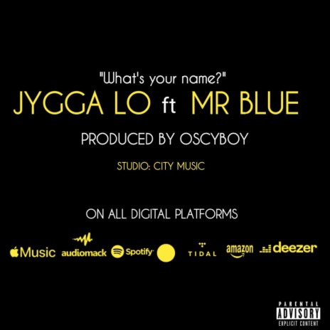 What's Your Name ft. Mr. Blue | Boomplay Music