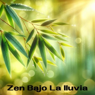 Zen Bajo La Iluvia: Meditación Pacífica para Aliviar el Estrés, Ansiedad y Preocupaciones, Toque de Naturaleza Curativa