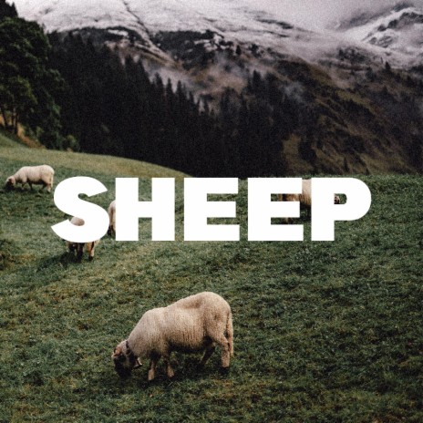 SHEEP | Boomplay Music