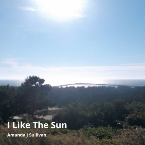 I Like the Sun | Boomplay Music