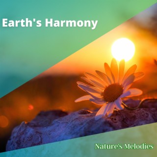Earth's Harmony