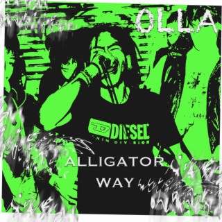 Alligator Way