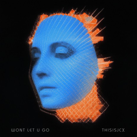 won't let U go (interlude)