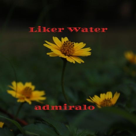 Liker Water | Boomplay Music